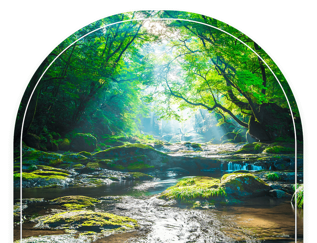 Calming _ trees river(1)